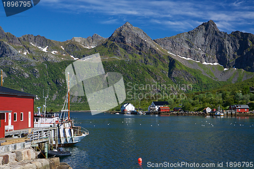 Image of Lofoten fishing harbor