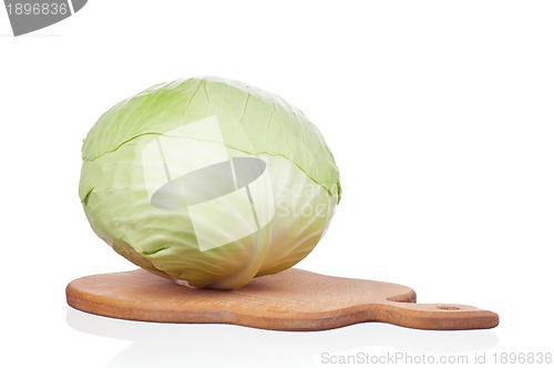 Image of Fresh cabbage