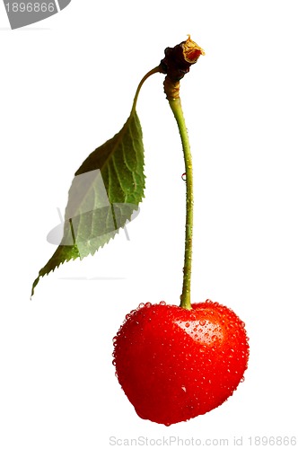 Image of Sweet cherries