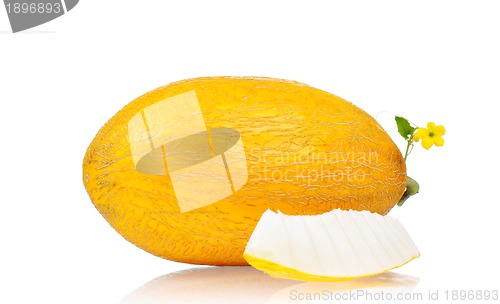 Image of Cantaloupe melon