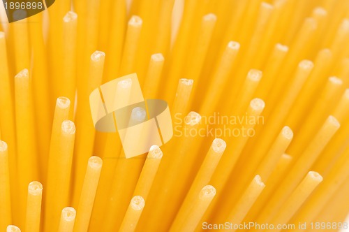 Image of Spaghetti
