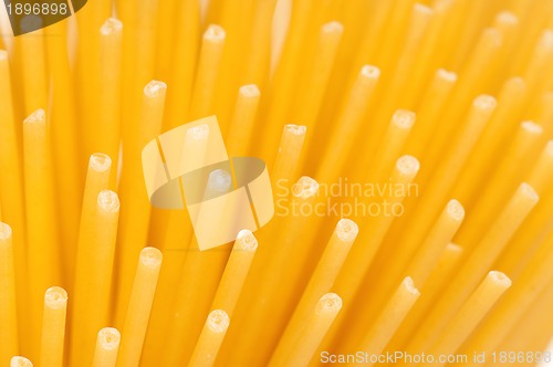 Image of Spaghetti