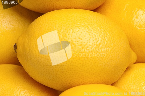 Image of Fresh lemon