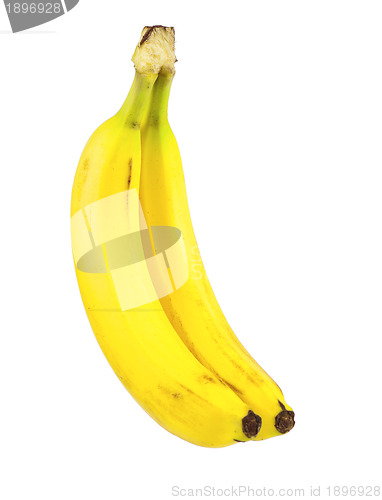 Image of Ripe bananas