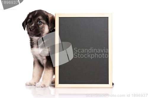 Image of Puppy with blackboard