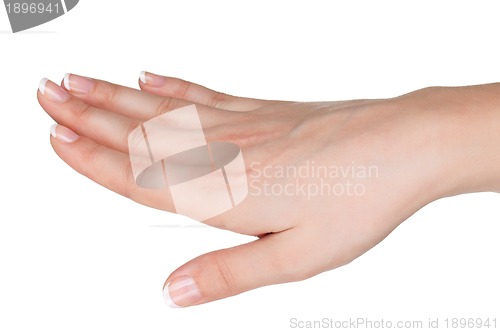 Image of Woman hands