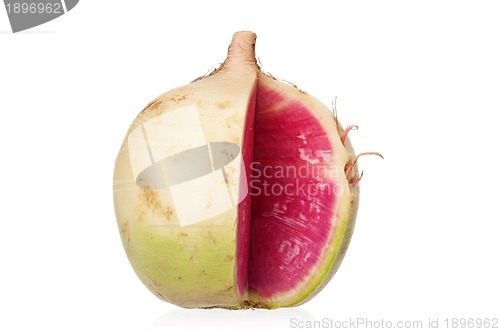 Image of Fresh radish
