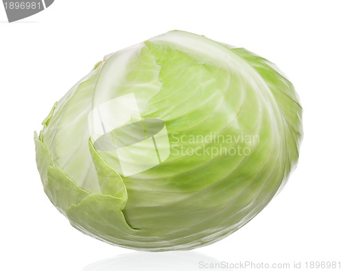 Image of Fresh cabbage