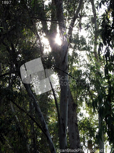 Image of Hidden sun. Nicosia. Cyprus