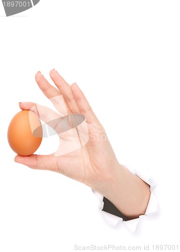 Image of Hand with egg