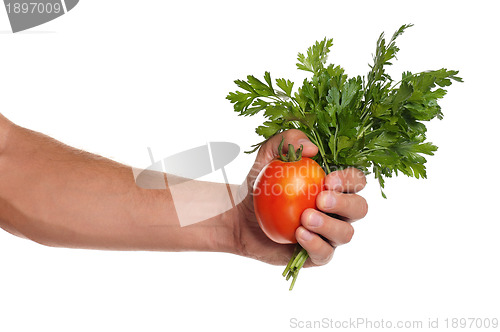 Image of Hand with parsley