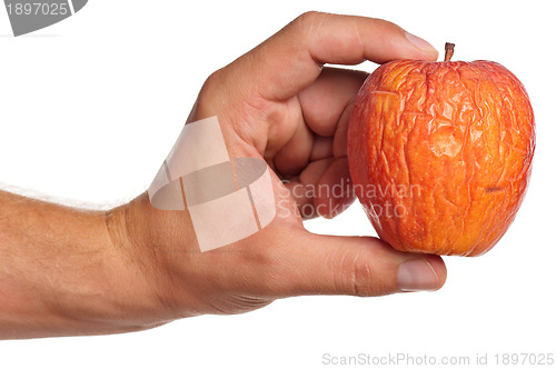 Image of Hand with apple