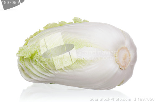 Image of Fresh cabbage