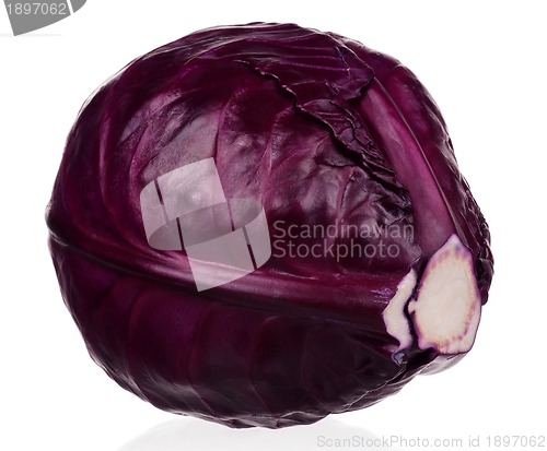 Image of Fresh cabbage