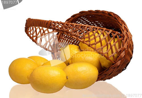 Image of Fresh lemon