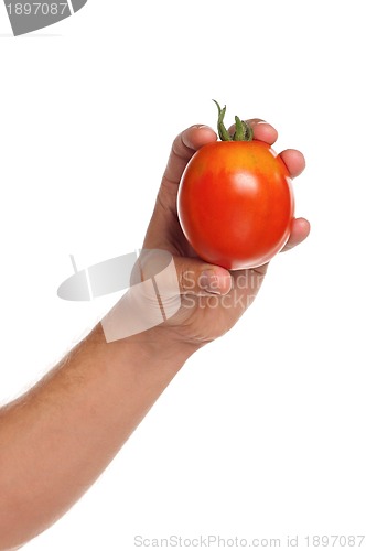 Image of Hand with tomato