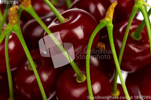 Image of Sweet cherries