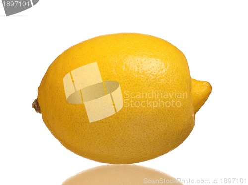 Image of Fresh lemon