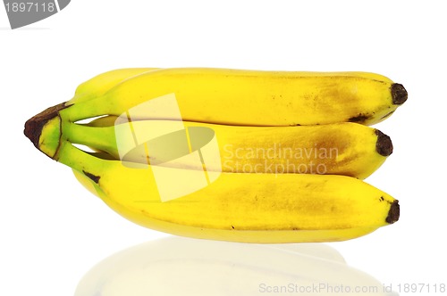 Image of Ripe bananas