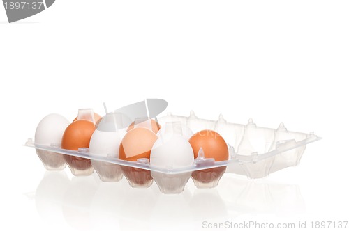 Image of Eggs in box