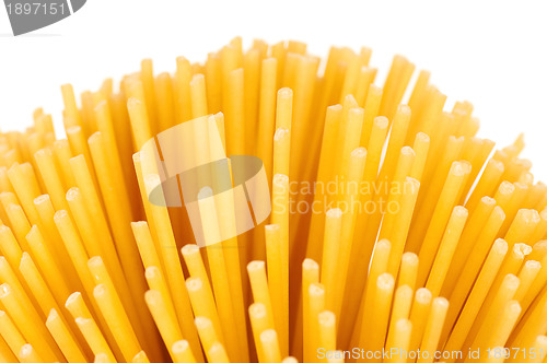 Image of Spaghetti