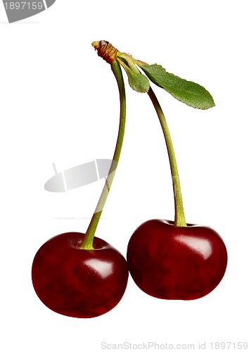 Image of Sweet cherries