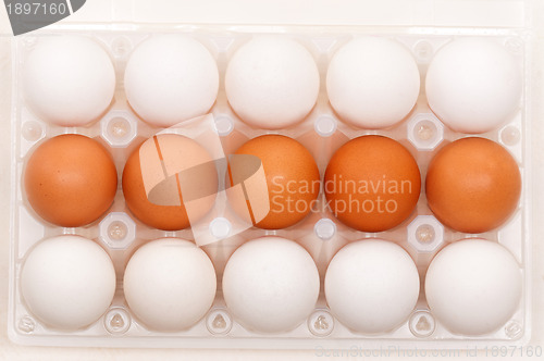 Image of Eggs in box