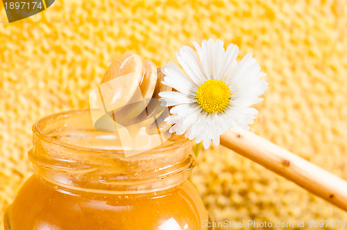 Image of jar of honey on the background of honeycombs 