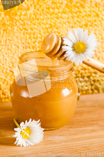 Image of jar of honey on the background of honeycombs 