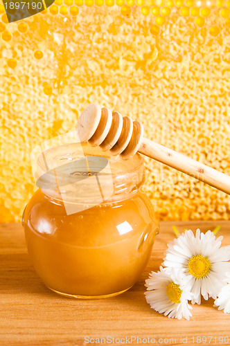 Image of jar of honey on the background of honeycombs 