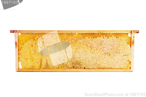 Image of frame with honeycomb full of honey, isolated on white