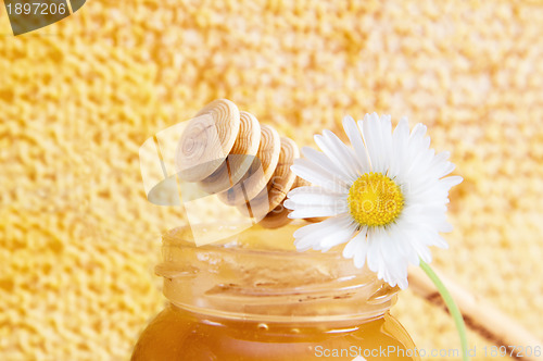 Image of jar of honey on the background of honeycombs 