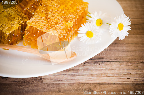 Image of honeycomb with daisies on white plate 