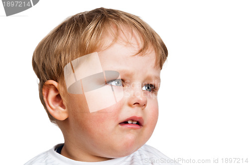 Image of Portrait of the little boy, close up