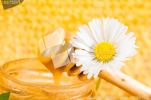 Image of jar of honey on the background of honeycombs 