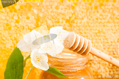 Image of jar of honey on the background of honeycombs 