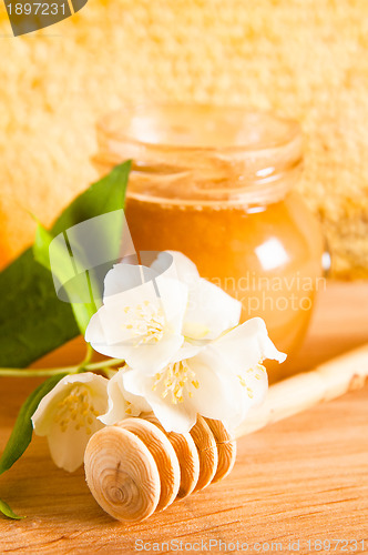 Image of jar of honey on the background of honeycombs 