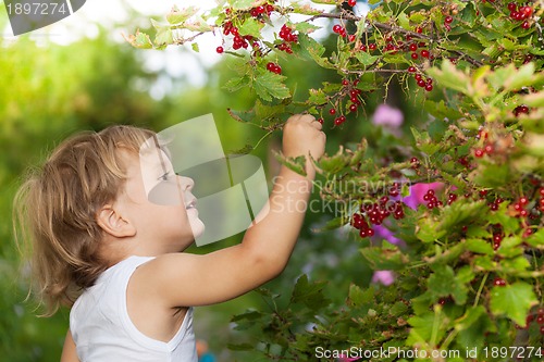 Image of sunny day in the garden