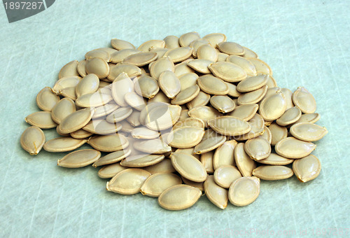 Image of Seeds of a pumpkin