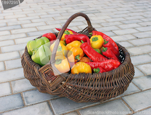 Image of Crop in a basket