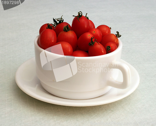 Image of Tomatoes-babies