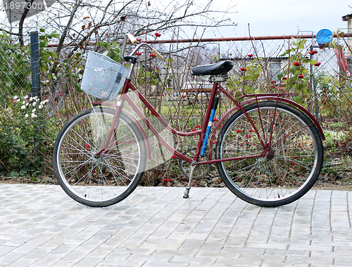 Image of Bike on the patio