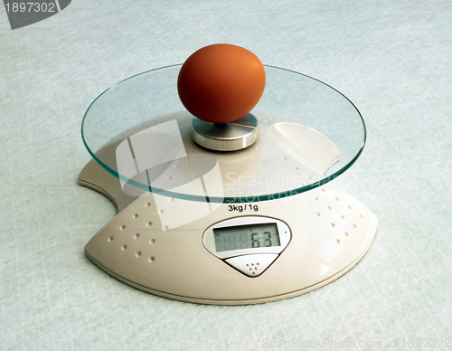 Image of egg on scales