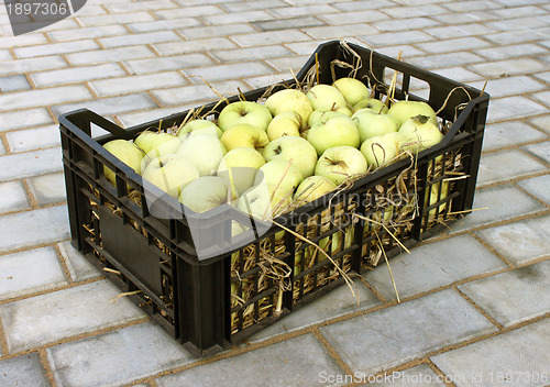 Image of Apples in a plastic box