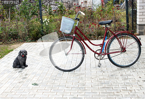 Image of Biking and rock dog