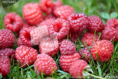 Image of Raspberries