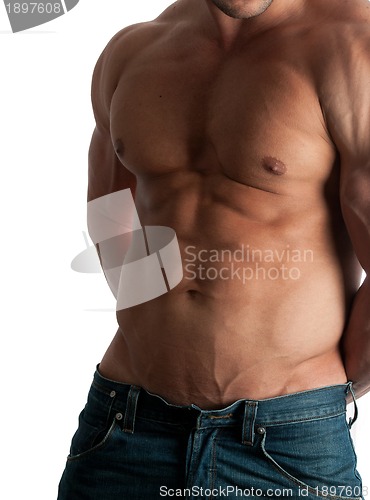 Image of bodybuilder