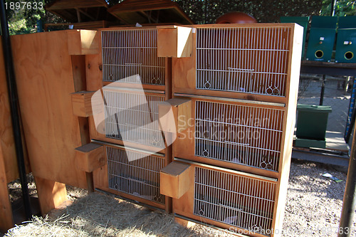 Image of Stacked Bird Cages