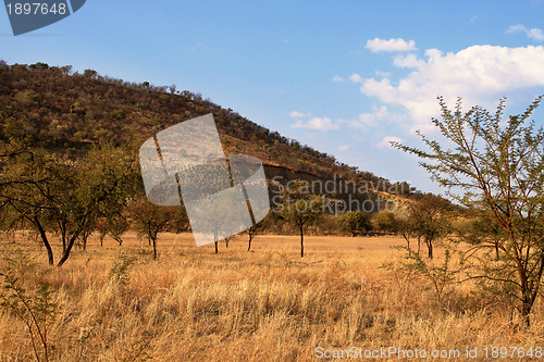 Image of Defaced Mountain 