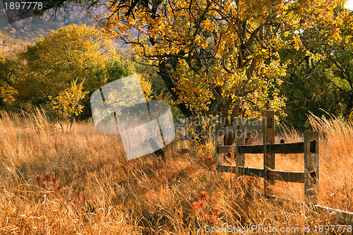 Image of Old Wooden Farm Fence